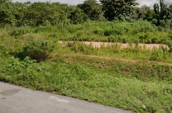 Cinquante hectares de terres agricoles à Kétou Idigny à 700.000 F CFA l’hectare