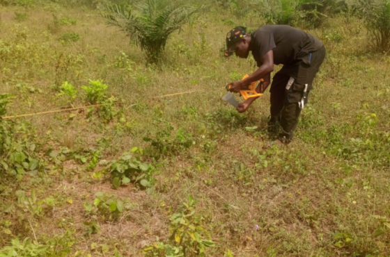 Quinze hectares de terres agricoles à Djidja à 800.000 F CFA l’hectare
